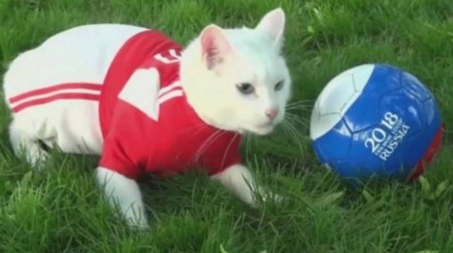 world-cup-bhawishyawani