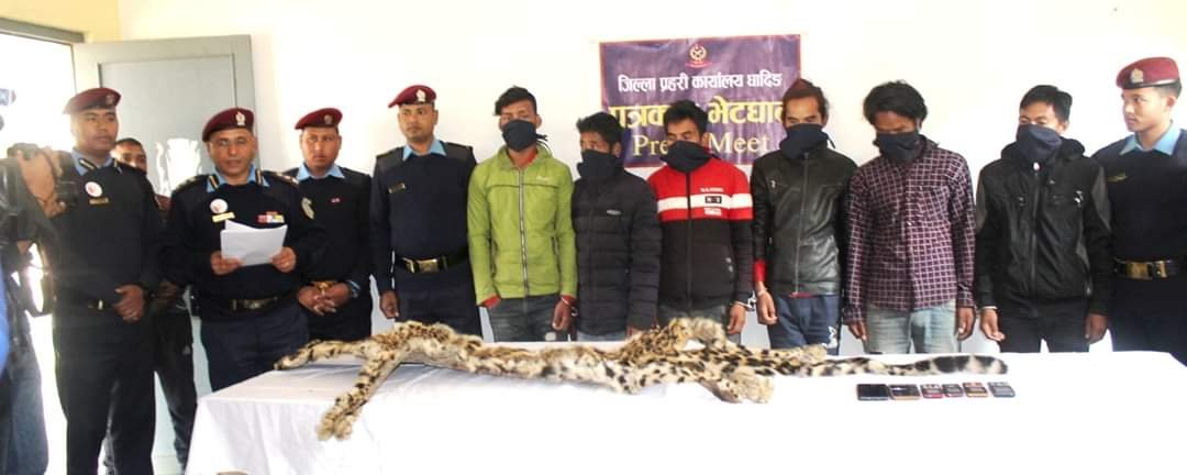 FB_IMG_1574588741974