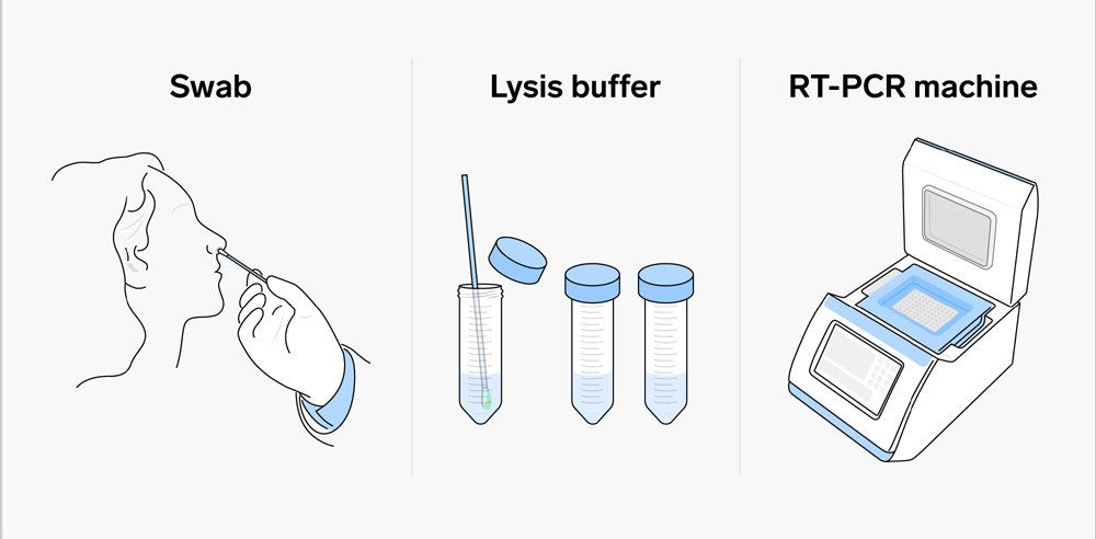 pcr test